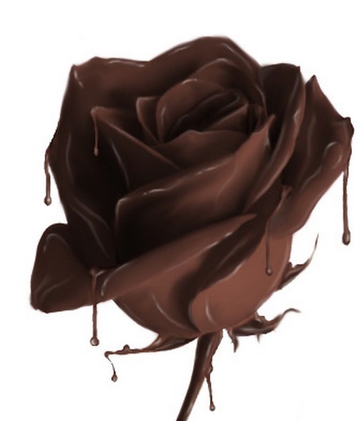 chocolate_rose-86193223.jpg